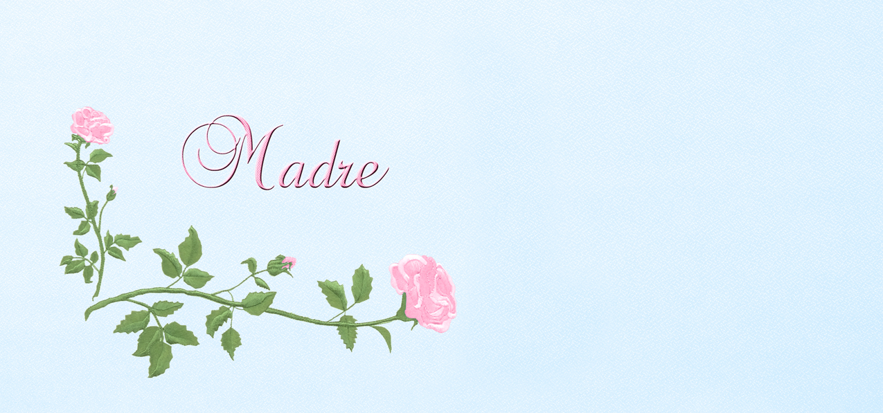 P 503 PK BL Corner Rose Madre Pink Blue Faux